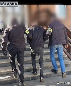Jelenia Góra. 36-latek dokonywał rozbojów z użyciem atrapy broni. Wpadł w ręce policji