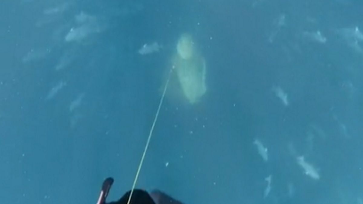 Nagrywający nie krył przerażenia