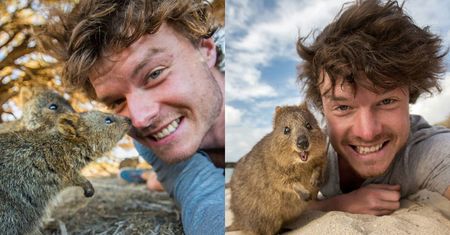 Ten fotograf został mistrzem "selfie" z dzikimi zwierzętami... (FOTO)