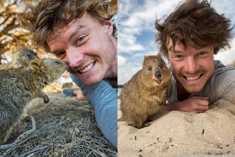 Ten fotograf został mistrzem "selfie" z dzikimi zwierzętami... (FOTO)