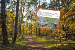 Natknęli się na niezwykłe znalezisko. Leśnicy pod wrażeniem