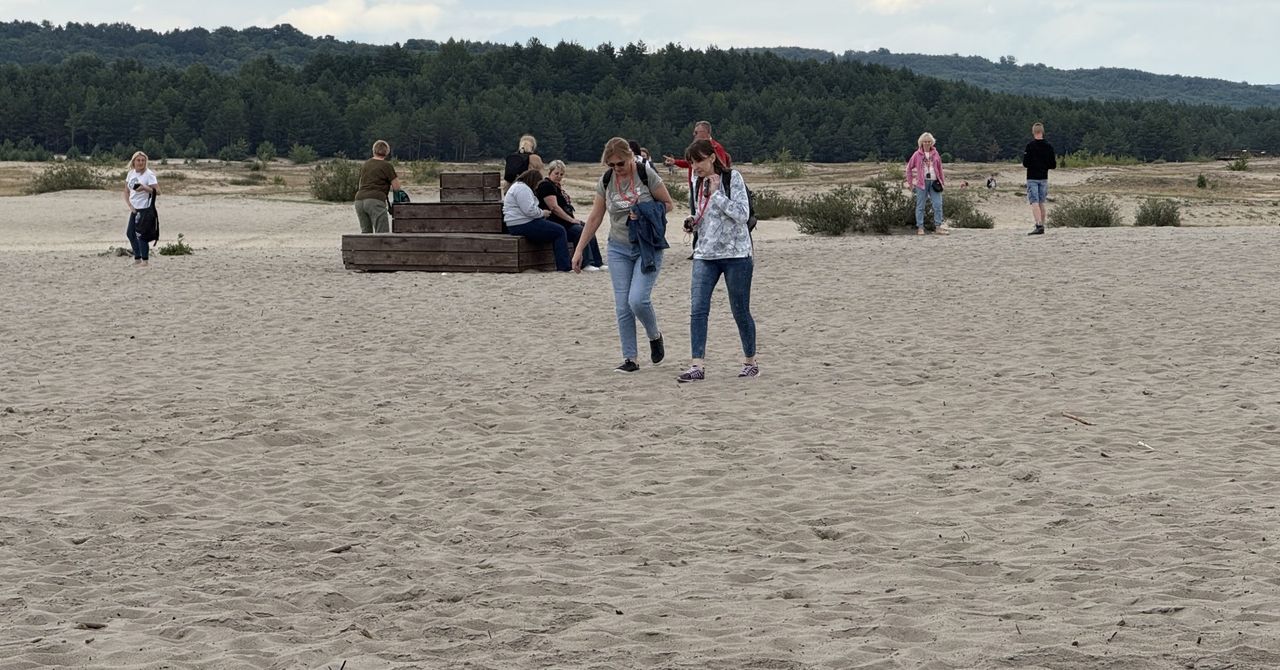 Pustynia Błędowska: ścieżki i atrakcje magnesem dla turystów