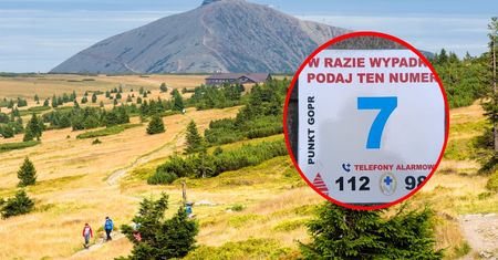 Wielkie zmiany w Karkonoszach. "Widziałem coś takiego w Czechach"