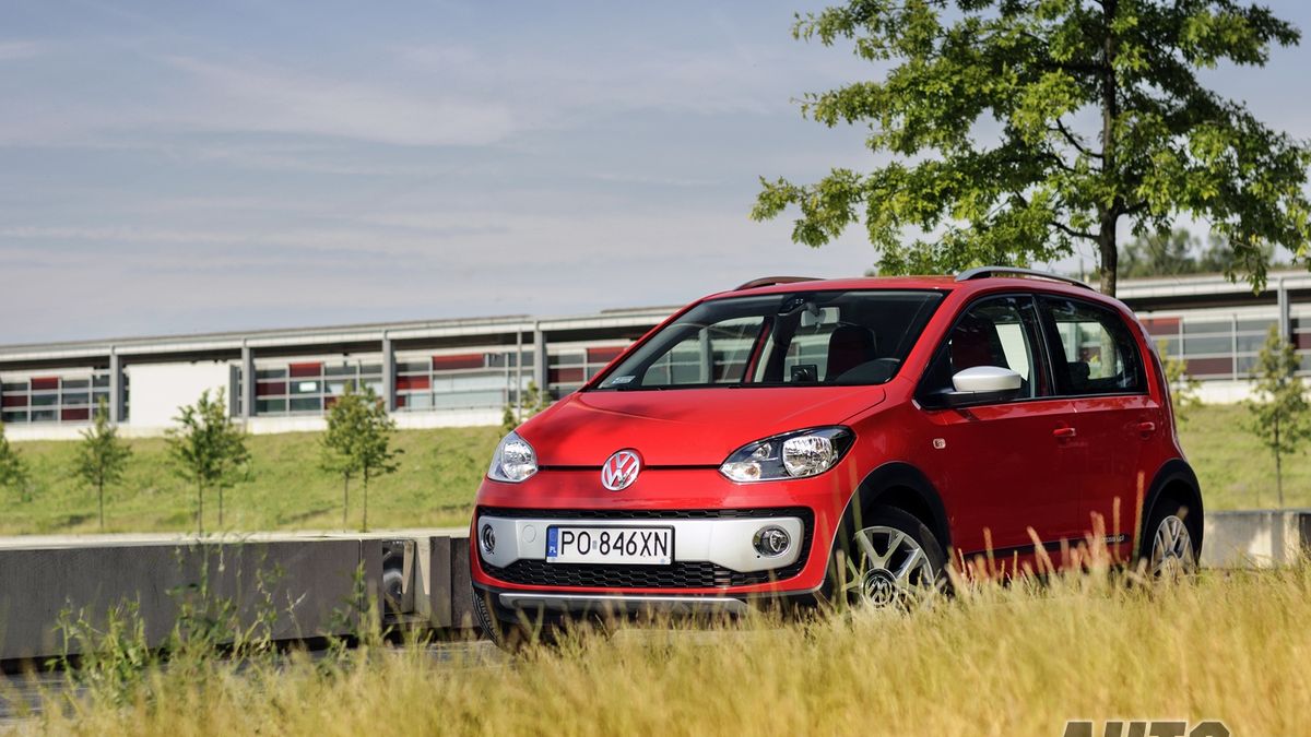 Zdjęcie ilustracyjne do artykułu