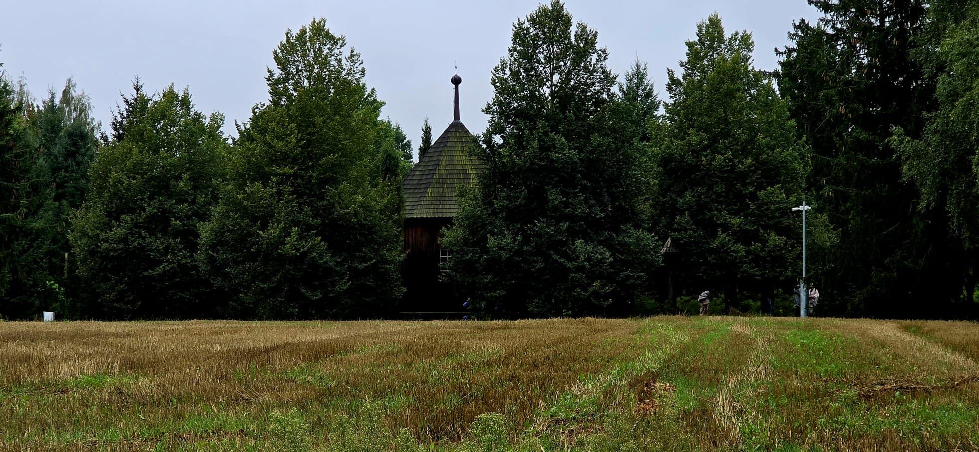 Wykopki 