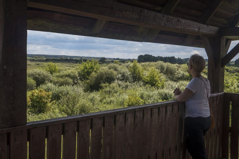 Rząd rezygnuje z budowy dwóch "esek". Ze względu na park narodowy