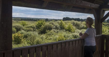 Rząd rezygnuje z budowy dwóch "esek". Ze względu na park narodowy