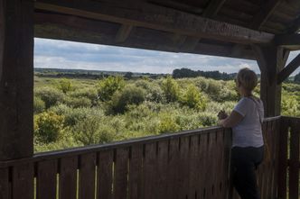 Rząd rezygnuje z budowy dwóch "esek". Ze względu na park narodowy