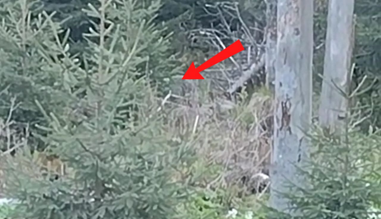 Szlak nad Morskie Oko. I nagle taki widok. Ujęcie z 19:00