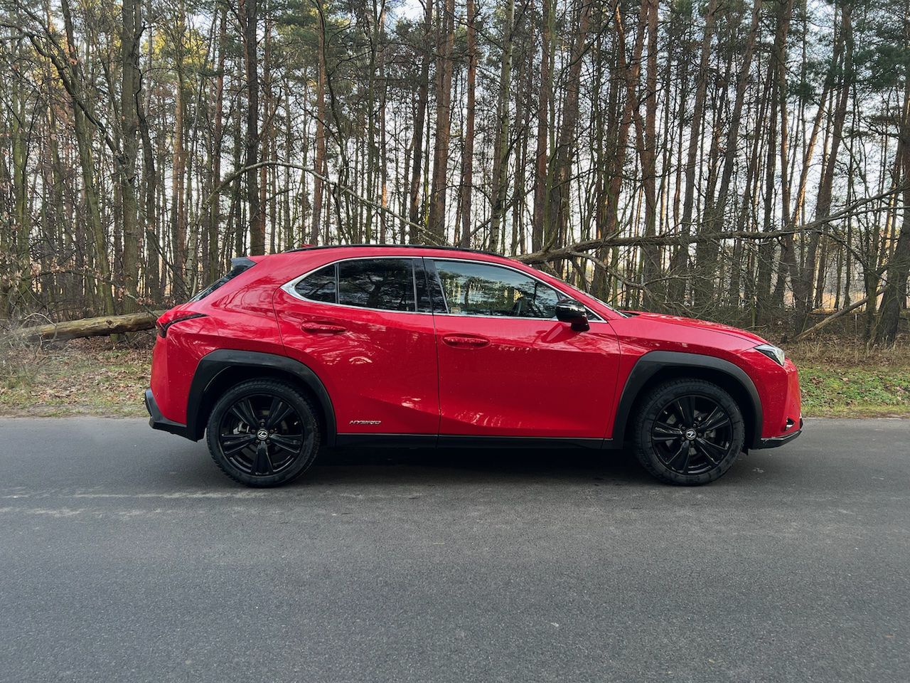 Lexus UX 250 h