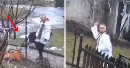 Kopał psa, rzucał kamieniem. Kamera przed domem nagrała księdza