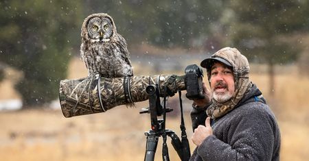 Poszedł fotografować puszczyki. Jeden z nich usiadł na jego obiektywie