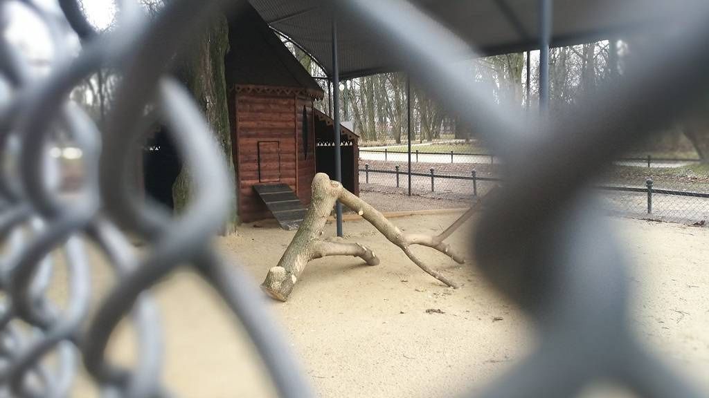 pawie ogród saski lublin
