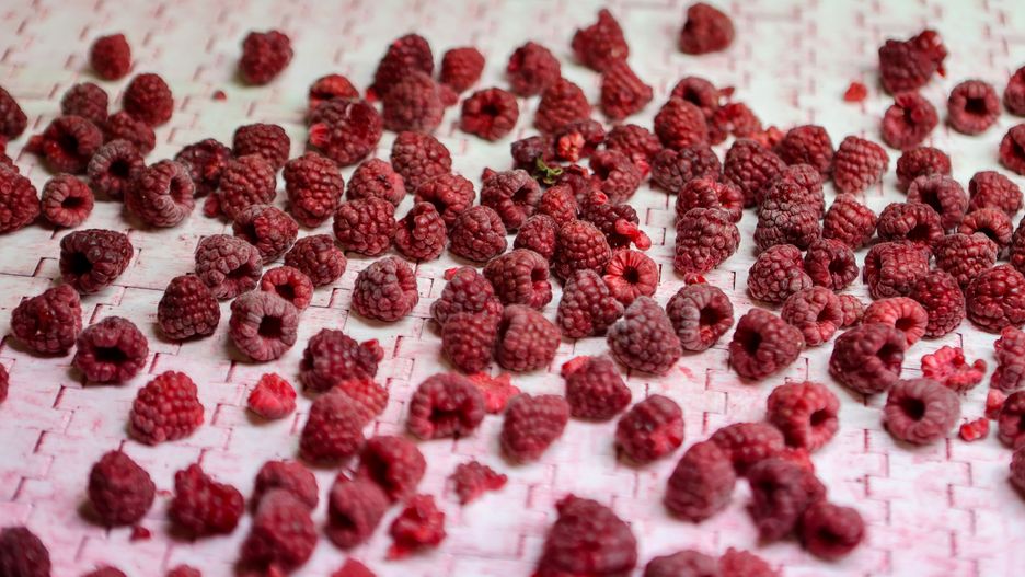 Zatrzymano transport mrożonych malin