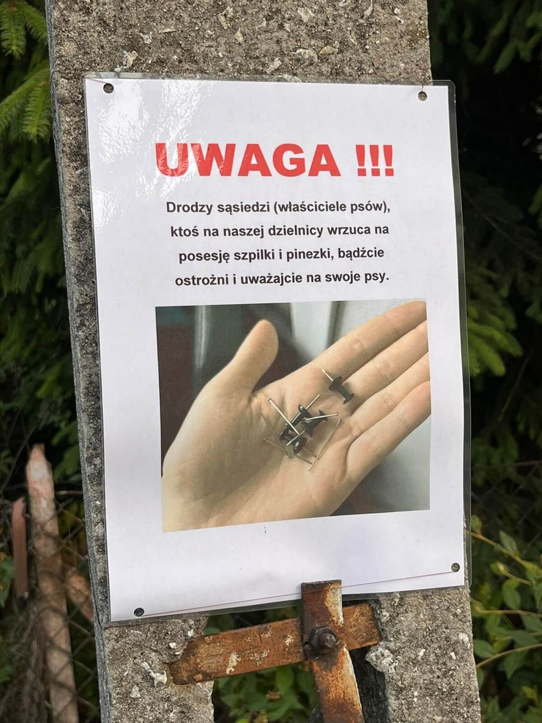 Ostrzeżenie o podrzuceniu przez nieznaną osobę szpilek i pinezek na prywatnych posesjach