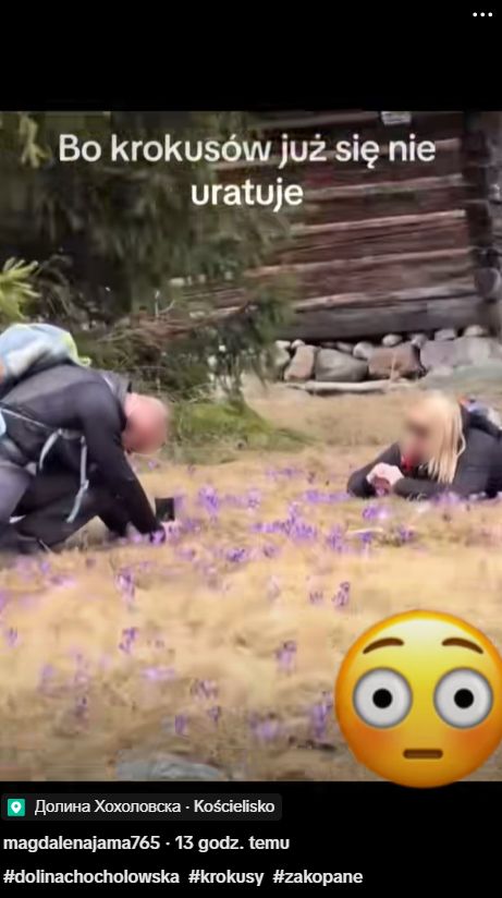 Skandaliczne zachowanie turystów.