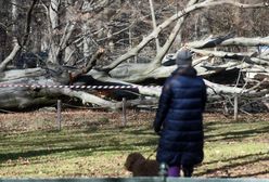 Orkan Eunice spustoszył Polskę. Co nas czeka w niedzielę?