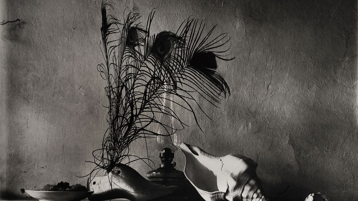 Fotografia na początku XX wieku - wizyta w galerii Foto-Gen we Wrocławiu 1