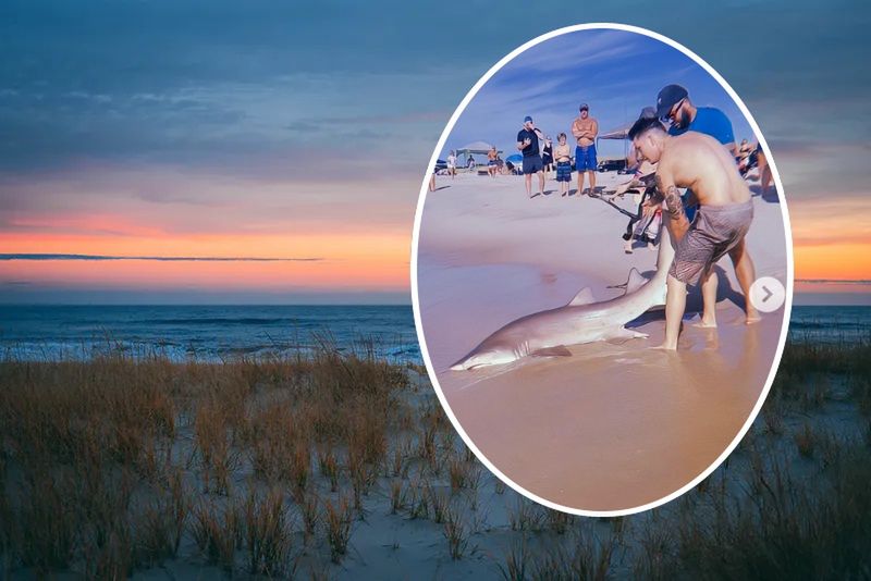 Mężczyzna złowił rekina na plaży Smith Point w Nowym Jorku