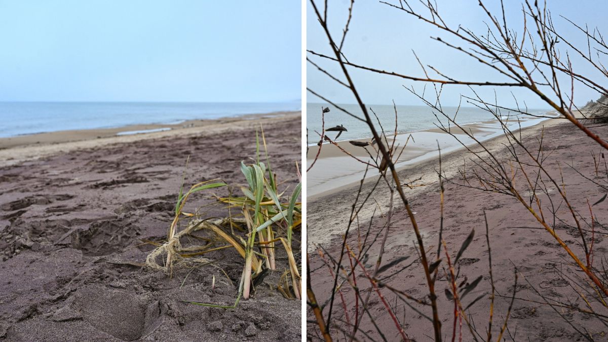 Nietypowy kolor piasku na plaży w Mielnie