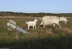 Wojna w Ukrainie. Topnieją zapasy rosyjskich rakiet