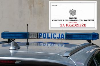 Ukradła kosmetyki za 33 zł i bluzy za 320. Oto kara dla 17-latki