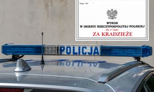Ukradła kosmetyki za 33 zł i bluzy za 320. Oto kara dla 17-latki