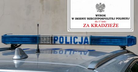 Ukradła kosmetyki za 33 zł i bluzy za 320. Oto kara dla 17-latki