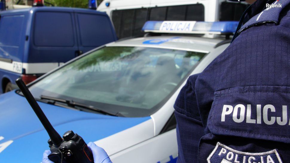 Rybnik. Odnaleziono matkę z maluśkim synkiem