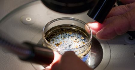 Mikroplastik, a zdrowie. To konsekwencje zanieczyszczenia środowiska