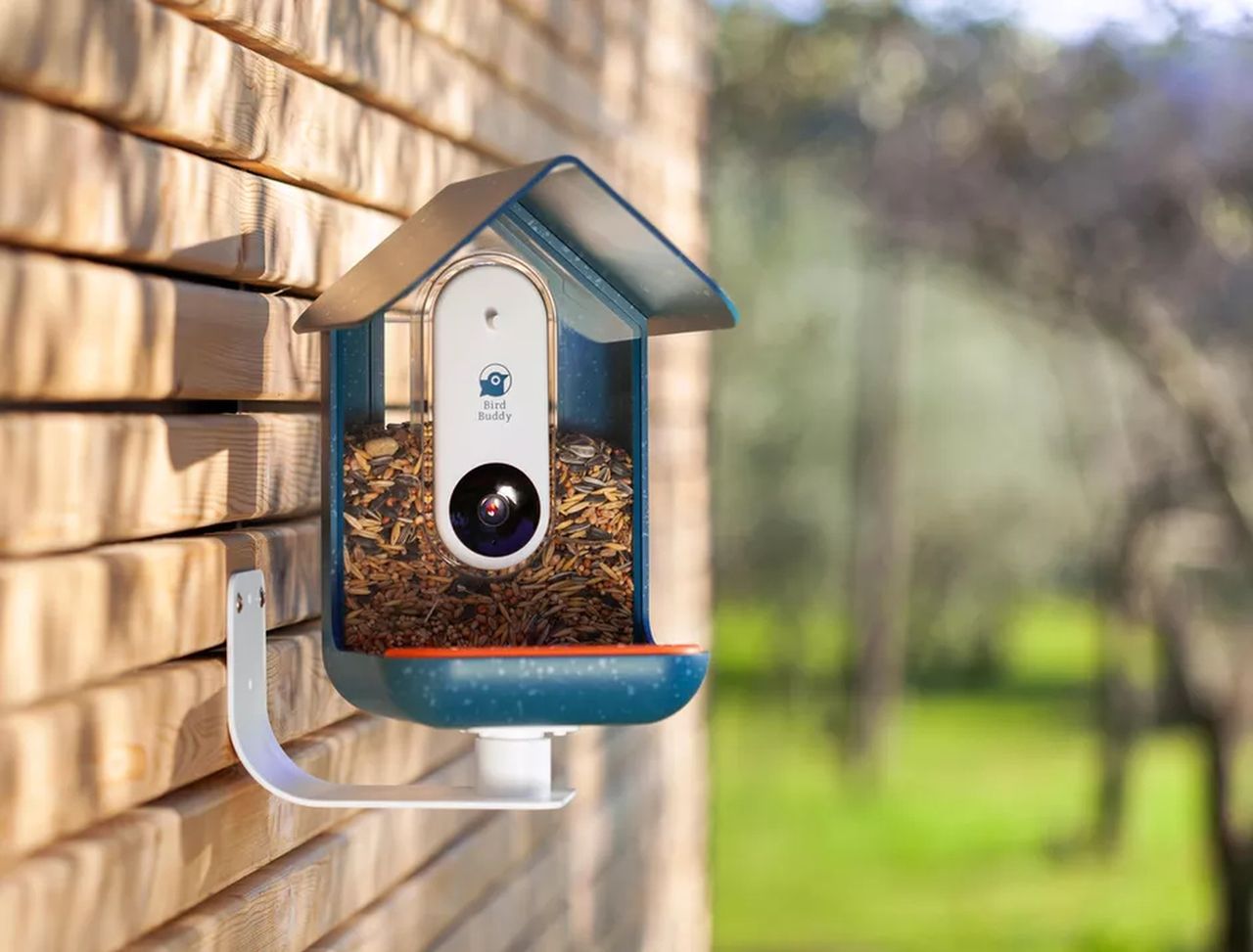 Bird Buddy - karmnik dla ptaków z kamerą, WiFi i sztuczną inteligencją