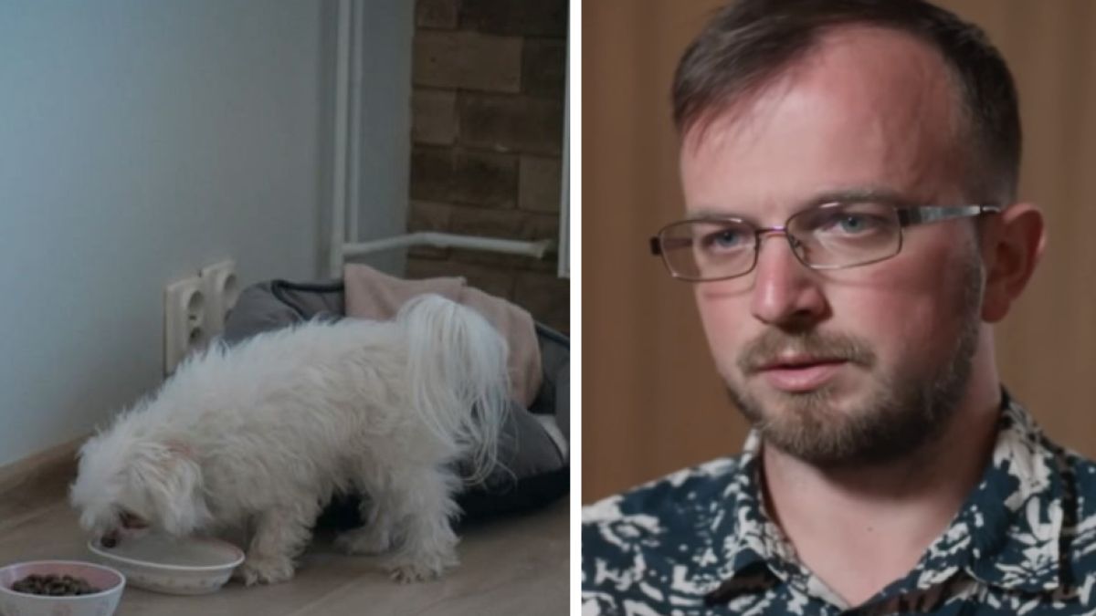 Widzowie uważają, że Marek zaniedbuje psa