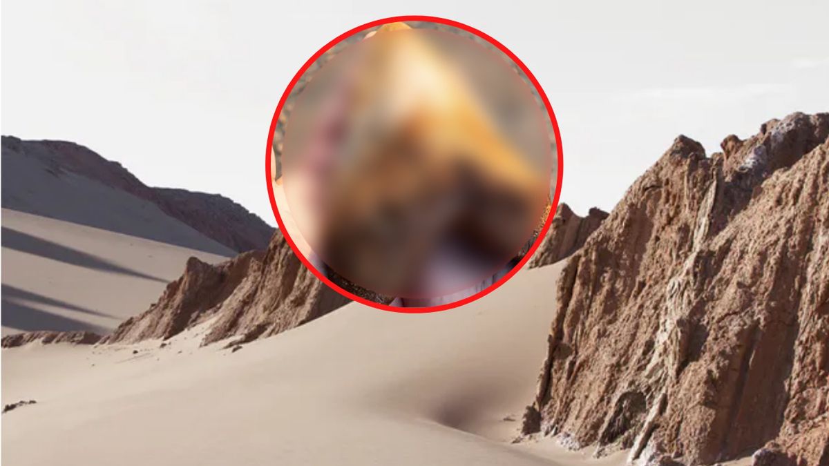 zab odkrycie znalezisko naukowcy szok pustynia rekin