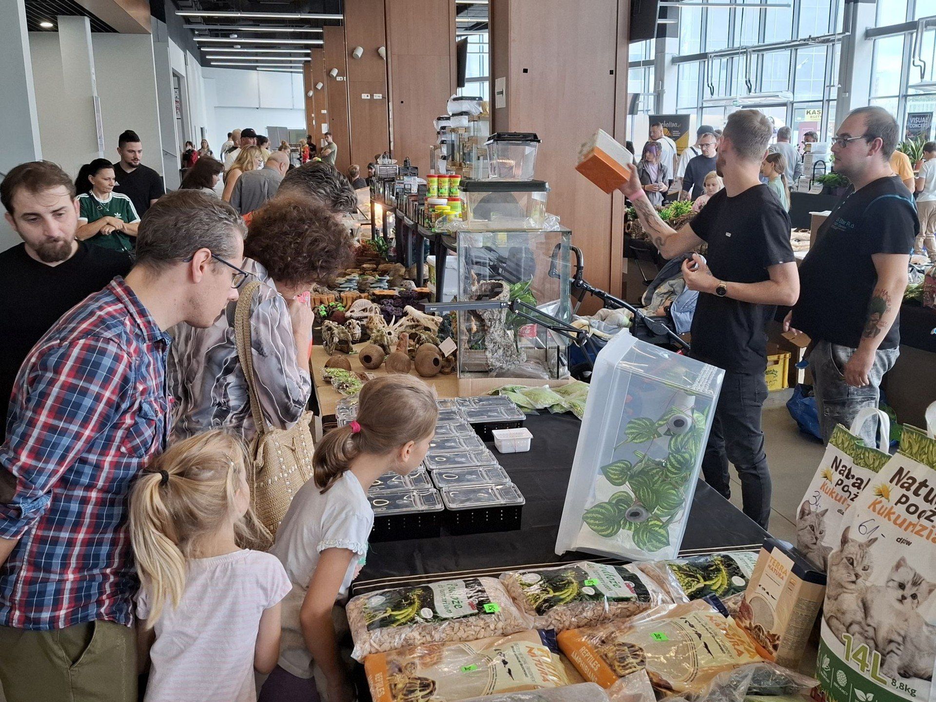Drugi dzień Dragon Expo w Radomiu