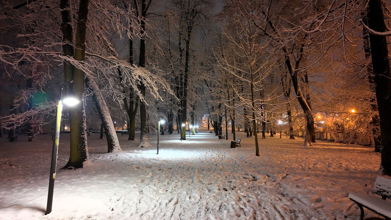 Pierwszy śnieg w Parku Staszica w Częstochowie, 26 listopada 202