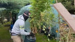 Warszawa: Marihuana na ogródkach działkowych. 52-latek zatrzymany