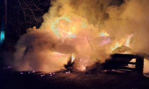 Pasieka spłonęła. Ule zostały doszczętnie spalone