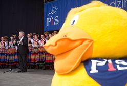 Posłanka PiS stawia rząd pod ścianą. Pyta o spełnienie obietnicy wyborczej, która padła na partyjnym pikniku z rodzinami