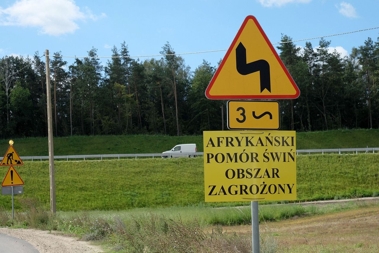 Nowa seria zakażeń. Wraca koszmar polskich hodowców