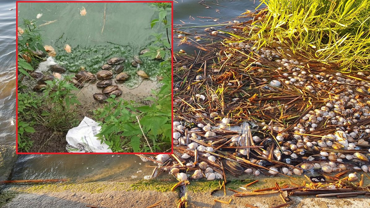 Zalew Zemborzycki w Lublinie