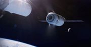 Elon Musk ma problem z kotami? Anteny Starlinki przyciągają zwierzęta