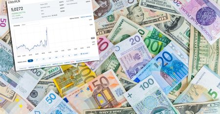 Złoty idzie w dół. Oto jak wygląda sytuacja na rynku walut po ataku na Kijów
