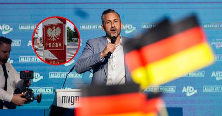 AfD wygrała. Polacy w Niemczech podzieleni jak nigdy. "Cenzura"