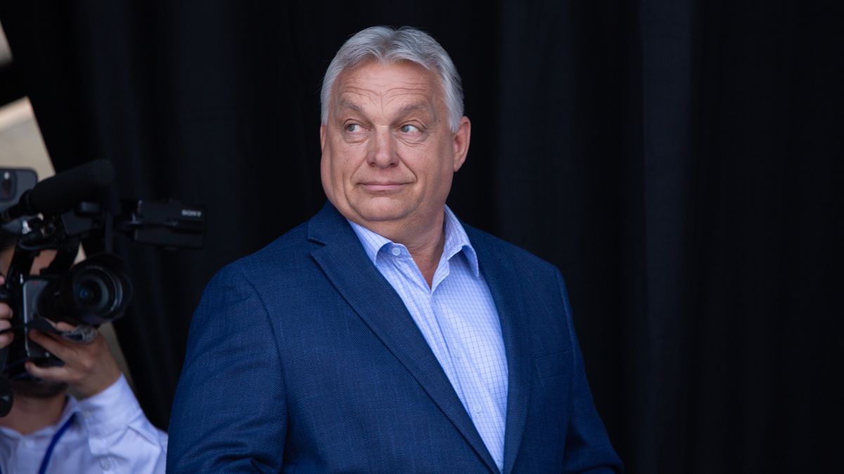 Viktor Orban, Prime Minister of Hungary and President of Fidesz attends the Victory Day rally organized by the European nationalist and far-right political party Patriotes.eu in Mormant-sur-Vernisson, France, 09 June 2025. EPA/SADAK SOUICI Dostawca: PAP/EPA.
