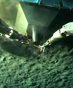 Odkrycie z dna u wybrzeży Chin. Badacze poruszeni