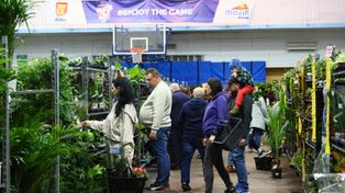 Kielce: Festiwal Roślin w hali przy ulicy Żytniej rozpoczęty. Tysiące osób oglądało monstery, filodendrony, kaktusy i inne gatunki