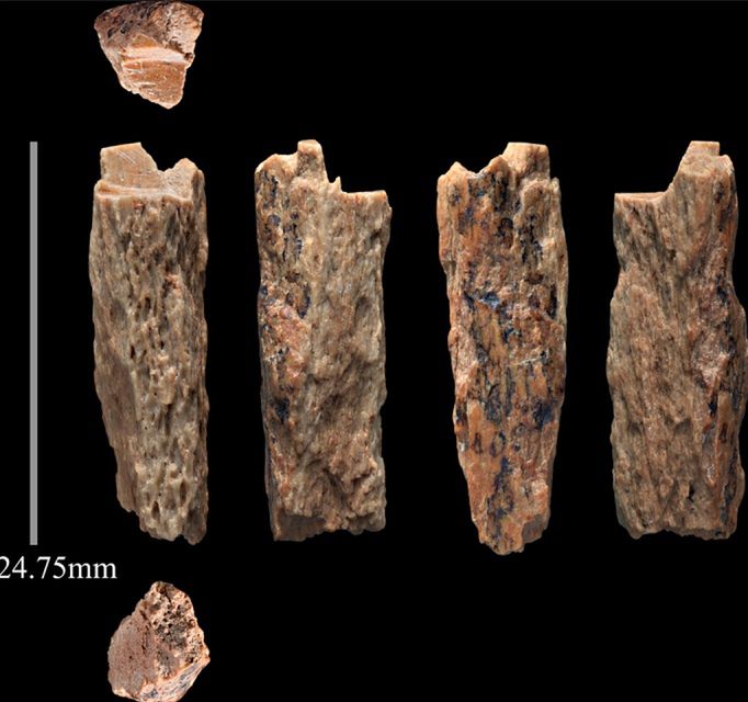 Fragmenty kości znalezione w Jaskini Denisowej (należące do nieznanego wcześniej gatunku)