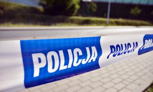 Ciało kobiety w stawie w Oleśnicy. Sprawę badają śledczy