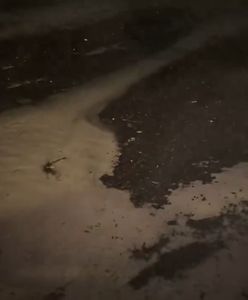 Milton "zassał" wodę. "Zniknęła bardzo szybko"