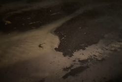 Milton "zassał" wodę. "Zniknęła bardzo szybko"